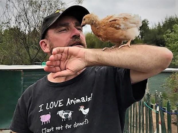 Young Bede with chooks
