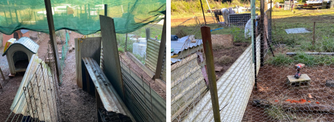 Fencing before and after